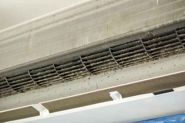 Best Air Vent Cleaning Services  in Bowdon, GA